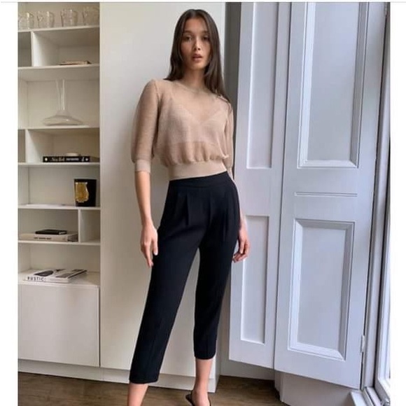 Aritzia Babaton Cohen pant - Picture 1 of 8